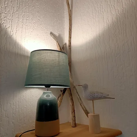 Appartement Arcachon شقة